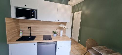 Appartement d'une chambre avec jardin clos et wifi a Saint Cyr au Mont d'Or