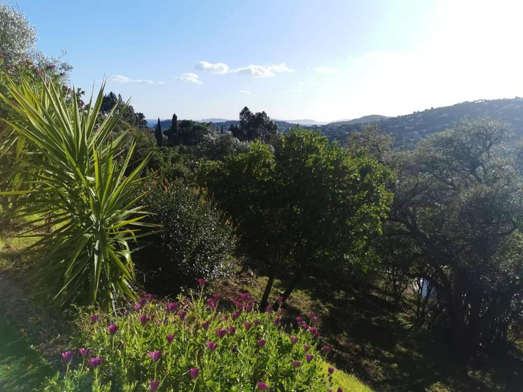 Appartement Appartement d'une chambre avec terrasse amenagee et wifi a Cavalaire sur Mer 29 Rue des Santons Provence-Alpes-Côte d'Azur, Var 83240 Cavalaire-sur-Mer