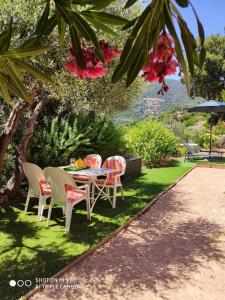 Appartement d'une chambre avec terrasse amenagee et wifi a Cavalaire sur Mer