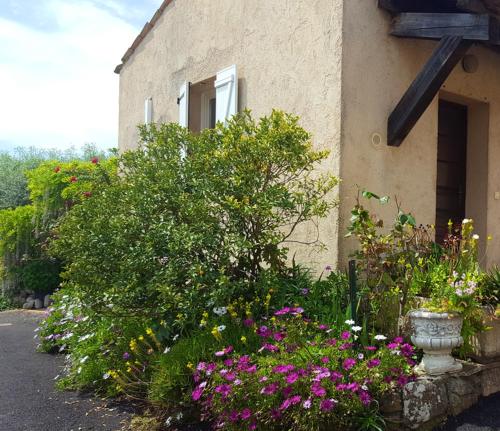 Appartement d'une chambre avec terrasse amenagee et wifi a La Roquette sur Siagne a 5 km de la plage