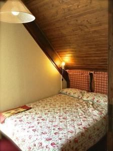 Appartement dans chalet au pied des pistes
