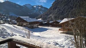 Appartement dans petit chalet