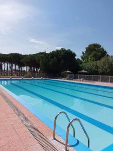 Appartement Appartement dans résidence hôtelière Chemin de las Ribas, résidence las motas 66200 Alénya Languedoc-Roussillon