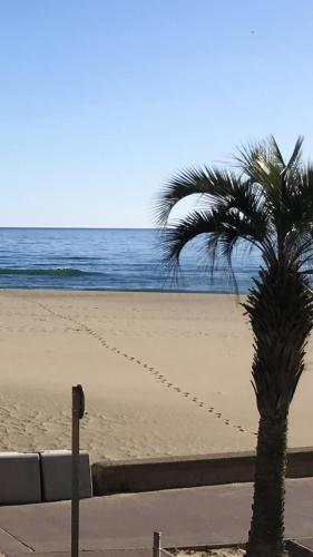 Appartement de 2 chambres a Canet en Roussillon