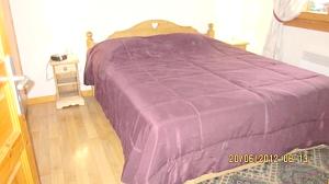 Appartement de 2 chambres a Chatel a 250 m des pistes avec terrasse amenagee et wifi