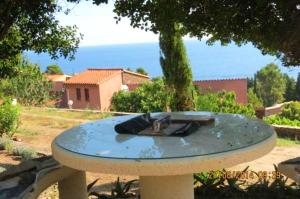 Appartement de 2 chambres a Collioure a 400 m de la plage avec vue sur la mer jardin clos et wifi
