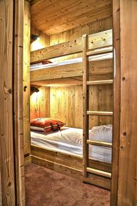 Appartement de 2 chambres a Les Deux Alpes a 50 m des pistes avec terrasse amenagee et wifi