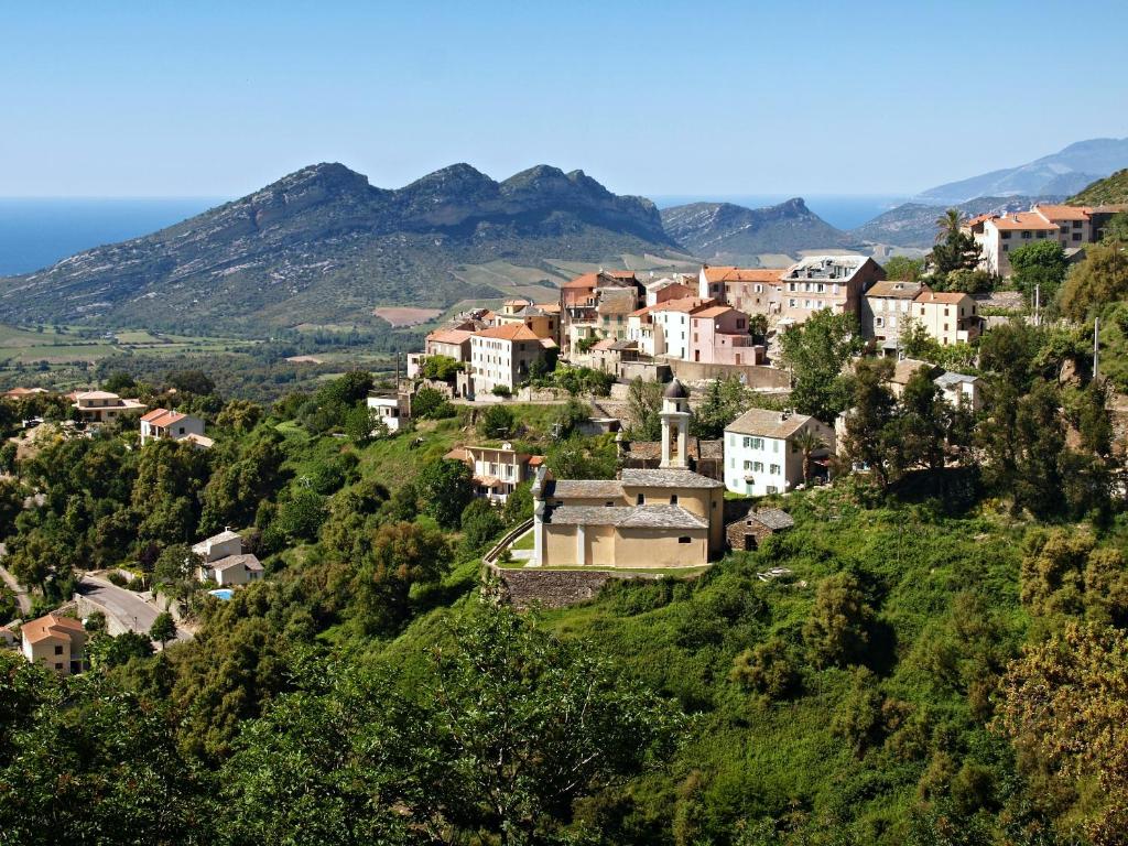 Appartement de 2 chambres a Poggio d'Oletta a 6 km de la plage Olivacce Haute-Corse, Corse, 20232 Poggio-dʼOletta