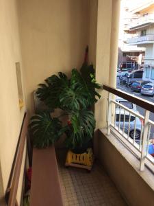 Appartement de 2 chambres avec balcon et wifi a Nice a 1 km de la plage