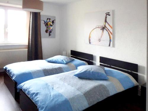 Appartement de 2 chambres avec piscine partagee terrasse amenagee et wifi a Biesheim