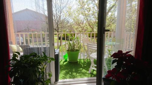 Appartement de 2 chambres avec piscine partagee terrasse amenagee et wifi a Dax