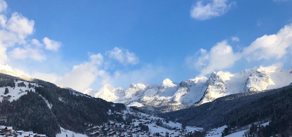 Appartement Appartement de 2 chambres avec terrasse amenagee et wifi a Le Grand Bornand a 1 km des pistes 28 Route des Côtes 74450 Le Grand-Bornand