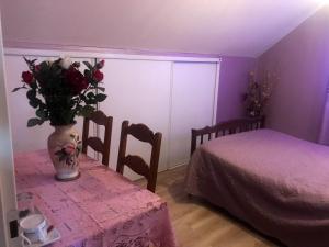Appartement de 4 chambres avec jardin clos et wifi a Lourdes