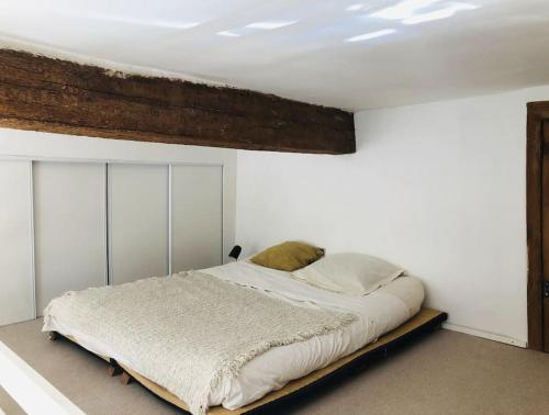 Appartement de caractère au cœur du centre-ville