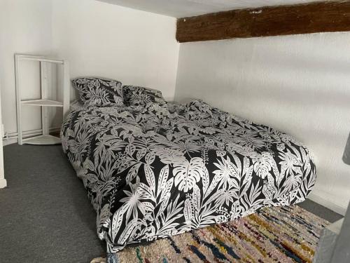 Appartement de caractère au cœur du centre-ville