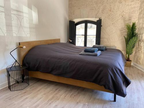 Appartement de standing au cœur d’Avignon