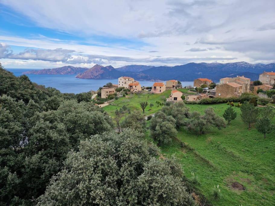 Appartement Appartement de standing au coeur de Piana Résidence A Vignarella - Route d'Arone 20115 Piana