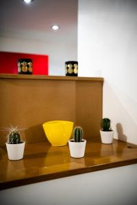 Appartement Denim