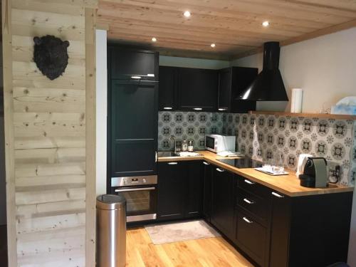 Appartement des Ours ski au pied