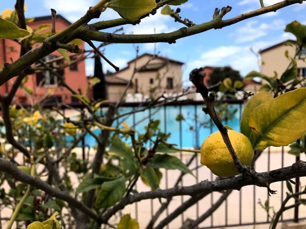 Appartement Dolce Farniente Les terrasses de Lozari Route de palasca, 20226 Belgodère