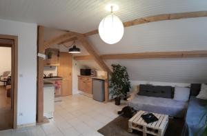 Appartement Appartement douillet avec vue sur les montagnes 1er étage 136 B rue du col de Fouchy 67220 67220 Fouchy Alsace