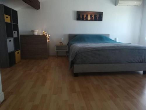 Appartement duplex 40m2 place François 1er