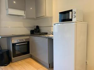 Appartement duplex proche zénith, mégacité, stade