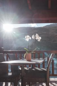 Appartement Ecrin 426