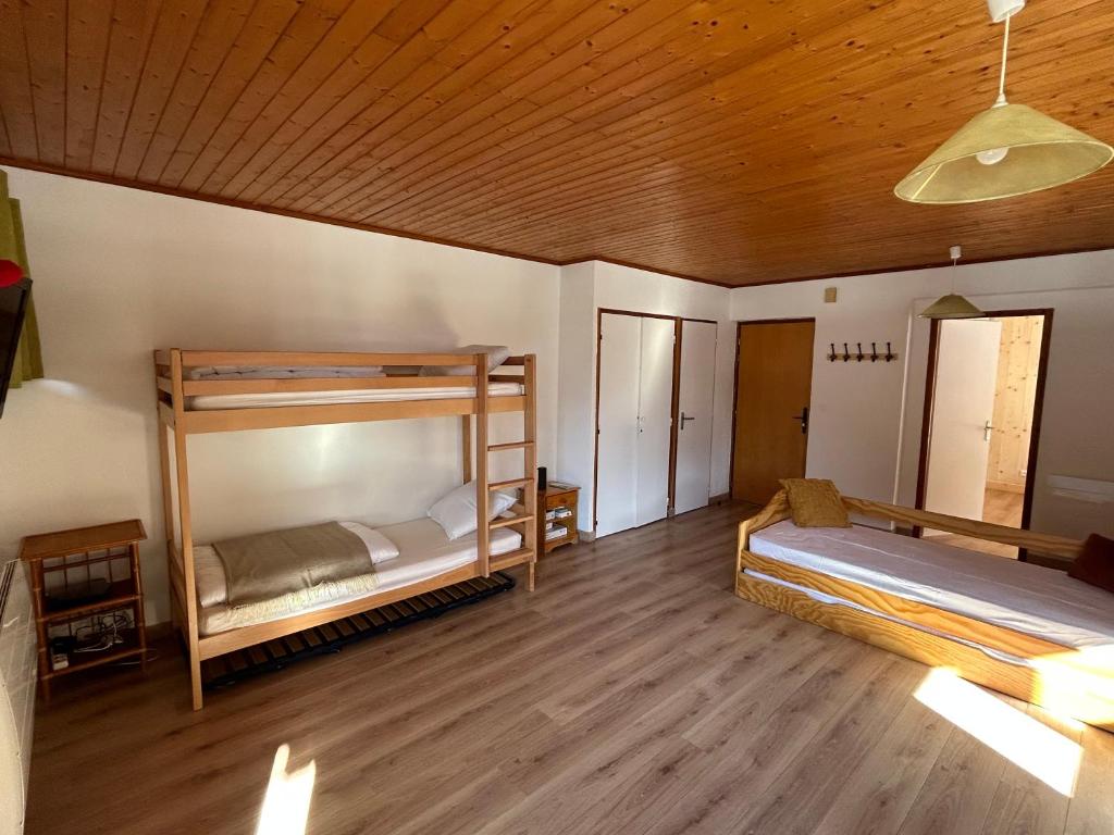 Appartement EDELWEISS Route de la Bechigne, 74390 Châtel