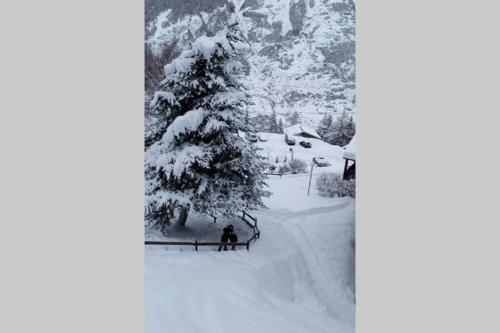 appartement en chalet au pied des pistes