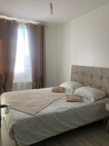 Appartement En colocation