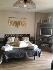 Appartement en hyper centre tout confort