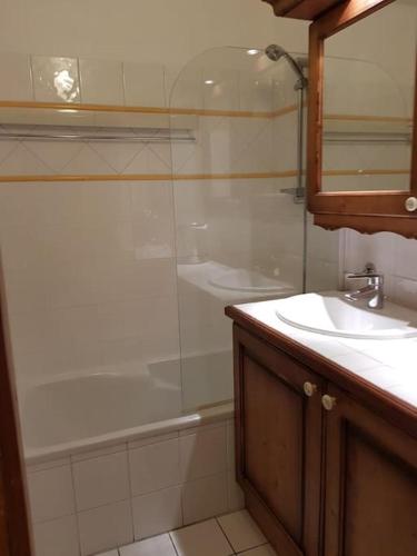 Appartement en plein cœurs des Carroz d'Arraches