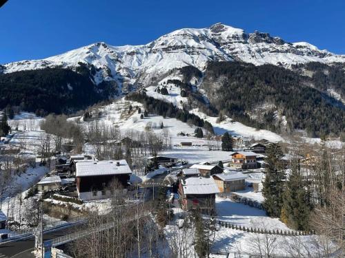 Appartement en plein centre du village (6-8 personnes)