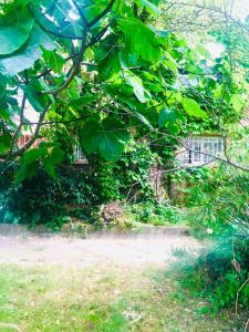 Appartement en rdc à argeles sur mer