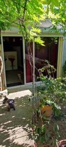appartement en residence privée