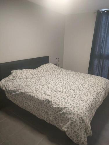 Appartement entier