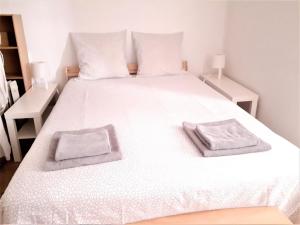 APPARTEMENT ENTIER PROCHE VOLTAIRE ET NATION.