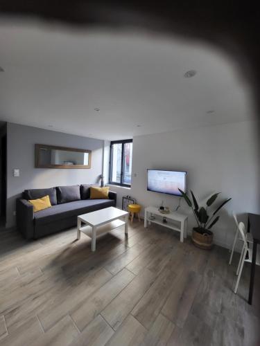 Appartement entièrement rénové à neuf 101