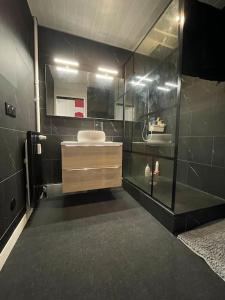 Appartement EPINAL calme