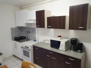 Appartement F1 rez de chausser BG N°2