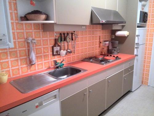 APPARTEMENT F3 IMPECABLE PLEIN SOLEIL, DANS AMELIE LES BAINS CENTRE VILLAGE