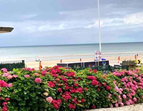 Appartement FACE MER accès direct plage