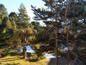 Appartement Font-Romeu-Odeillo-Via, 3 pièces, 6 personnes - FR-1-580-32