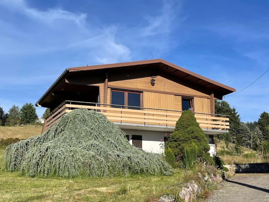 Appartement grand Cordier