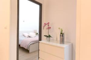 Appartement grand standing VAUBAN 10 Personnes centre historique de Colmar