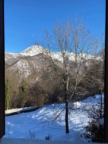 Appartement guzet neige