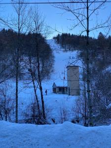 Appartement guzet neige