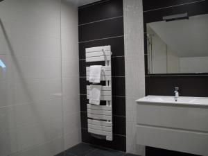 Appartement Halluin, 2 pièces, 2 personnes - FR-1-510-173