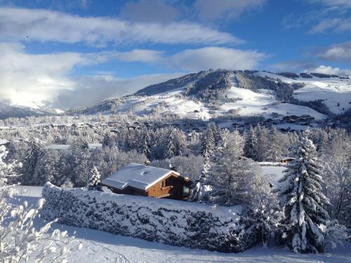 Appartement Hameau des Pistes - Ski-in and Ski-out